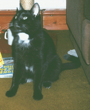 photo of Baker.