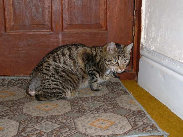 Kelvin lying in a not particularly sensible place